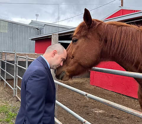 A horse sharing a quiet moment with a visitor