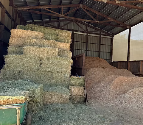 Hay and shavings stored in the barn