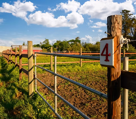 A fenced turnout area beneath a blue sky